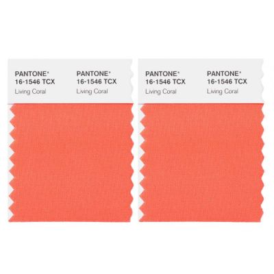 PANTONE® Swatch Card Mini 2 stk 5x5cm TCX